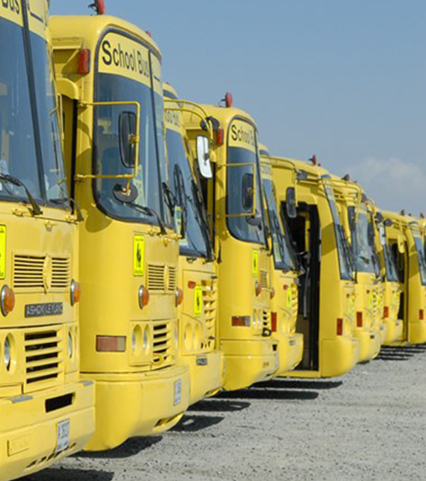 School Transpoartion service, 53 seater buses, 15 seater, 26 seater and 35 seater buses for school bus rental